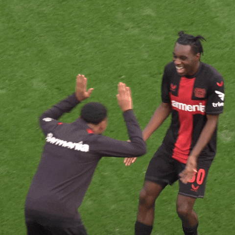 Bayer 04 Love GIF by Bayer 04 Leverkusen