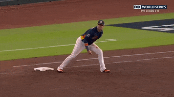 World Series Baseball GIF by MLB