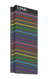 gay rainbow Sticker by UPMC Health Plan