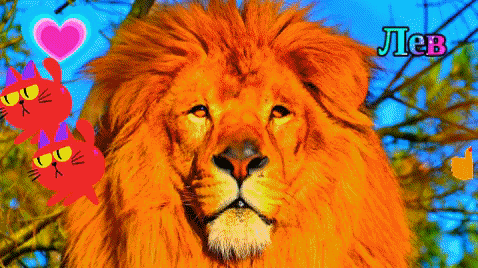 amadejaksenevich giphygifmaker giphyattribution лев GIF