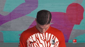 Posing Line Up GIF by Bundesliga