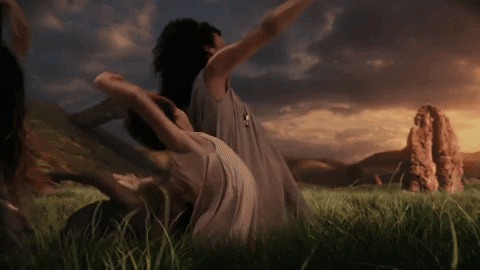 Dave Meyers GIF by P!NK