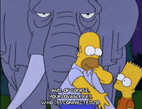 homer simpson GIF