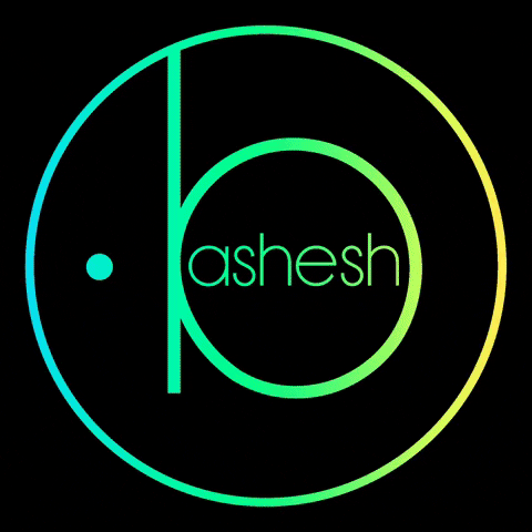 bashesh bashesh basheshofficial agencjaartystyczna GIF