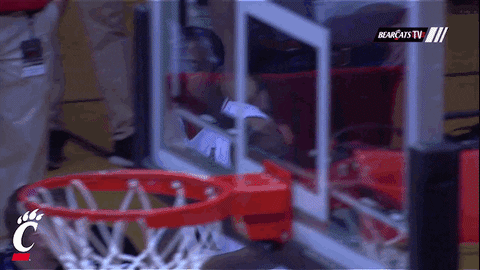 cincinnati bearcats confusion GIF by University of Cincinnati Athletics