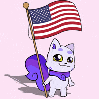 New York Trump GIF by Lucky Kat Studios