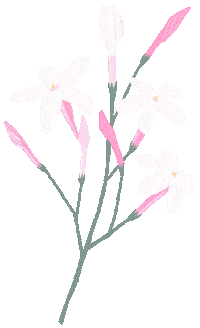Pink Summer Sticker