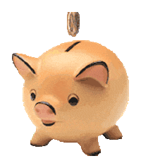 piggy STICKER