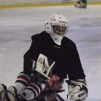 USAHockey hockey wink usa america GIF