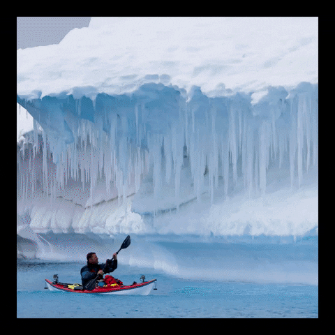 Kayaking Steve Backshall GIF by PBS