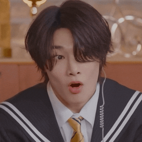 Stray Kids Skz GIF