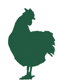 sicin-sasta green chicken farm ireland Sticker