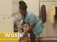 Wassen Ouderenzorg GIF by Cordaan
