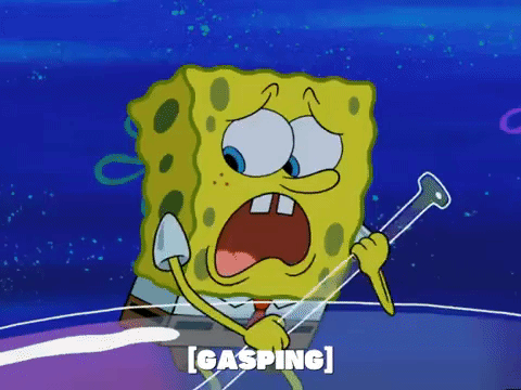 season 5 GIF by SpongeBob SquarePants