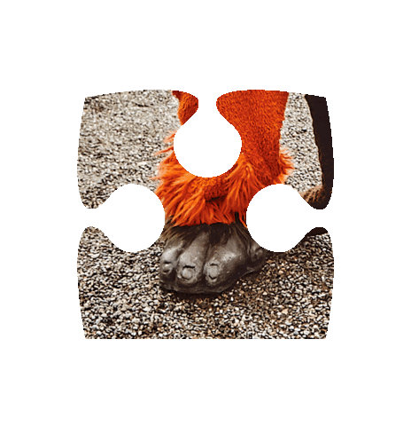 Jamadu Sticker by Coop Hello Family