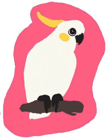 Pink Bird Sticker by bobercreative