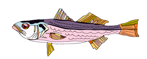 luzgga giphyupload ocean fish swimming Sticker