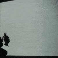 chopping mall horror movies GIF by absurdnoise