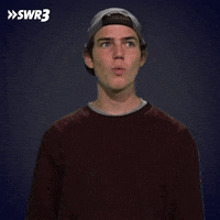 No Way Wow GIF by SWR3