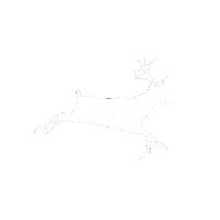 Dinner Lunch Sticker by Kotipizza