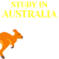 Australia Study Sticker by idp turkey
