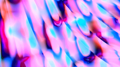 giphy.gif