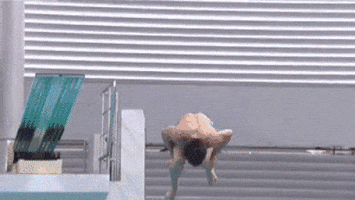 funny or die lol GIF
