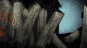 Andy Shauf Dog GIF by ANTI- Records