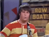 The Beach Boys GIF