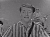 The Beach Boys GIF