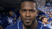 Regular Season Sport GIF by MLB