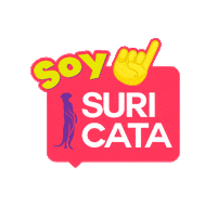 Soysuricata Sticker by Suricata Labs