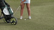 golf wave GIF by GreenWave