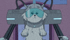 testicles GIF
