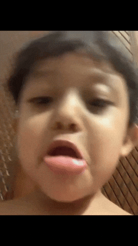 Ban Bangladesh GIF
