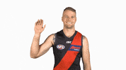 essendonfc jake dons bombers essendon GIF