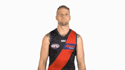essendonfc jake dons bombers essendon GIF