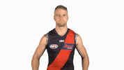 essendonfc jake dons bombers essendon GIF