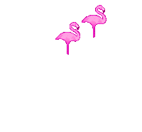 pinkflamingogoldcoast pink fabulous flamingo 5 stars Sticker