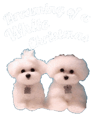 Merry Christmas Dog Sticker by HammyandBrody