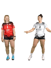 Volleyball Svf Sticker by Rotes Rudel