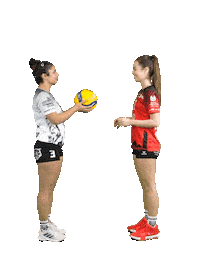Volleyball Svf Sticker by Rotes Rudel