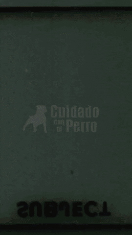lidiaestepa giphyupload GIF