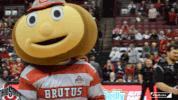 Gobucks GIF by Ohio State Athletics