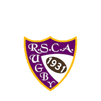 Anderlecht Sticker by Belgium Rugby