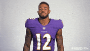 Football Nfl GIF by Baltimore Ravens