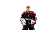 Celebration Hockey Sticker by Les Ducs d'Angers