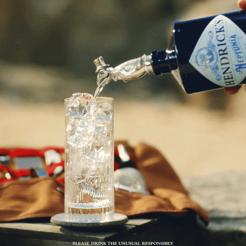 Friends Beach GIF by HENDRICK'S GIN