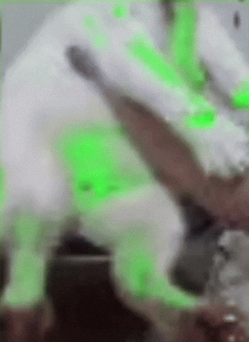 yes832865 cat pixel green water GIF