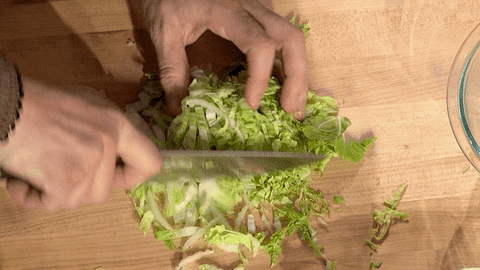 gordon ramsay fox GIF by Masterchef